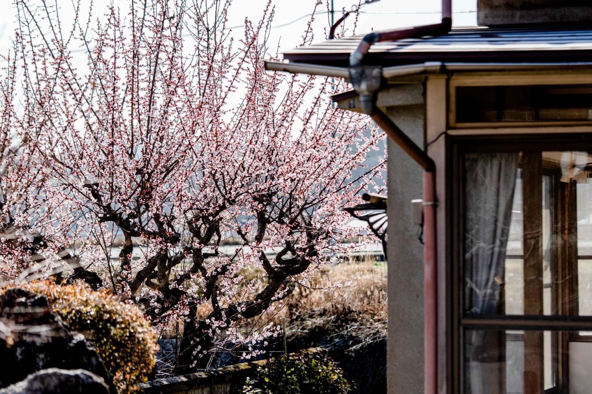 Takasaka No Sato Nodoka - Vacation 85703v Holiday home Mihara (Hiroshima)